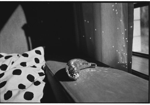 A sparkly ornament rests on a windowsill.